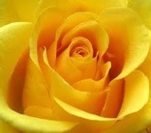 20120807-080149.jpg